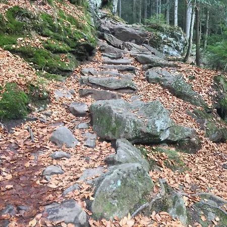 公寓 “u Nas V Podkrovi“ V Rezidenci Klostermann, 24 Železná Ruda