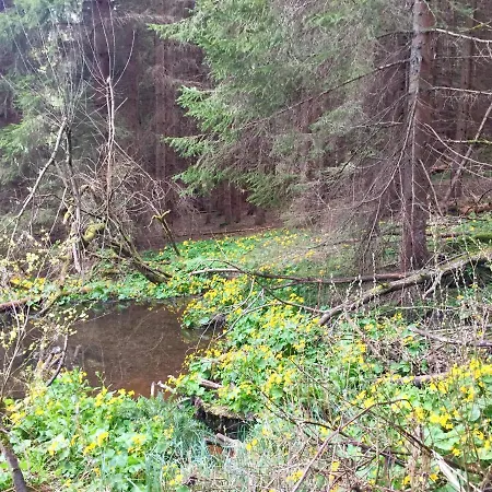 “u Nas V Podkrovi“ V Rezidenci Klostermann, 24 * Železná Ruda