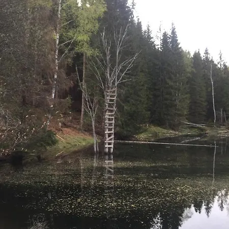 公寓 “u Nas V Podkrovi“ V Rezidenci Klostermann, 24 Železná Ruda